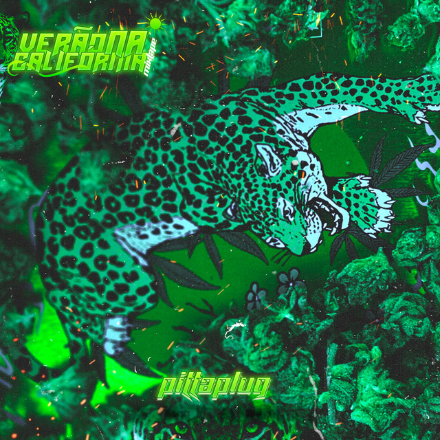 Verão na califórnia cover art