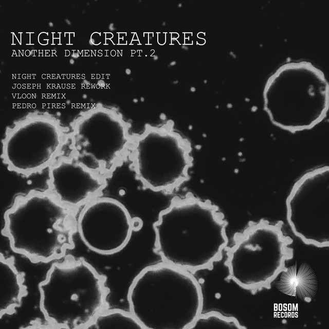 Another Dimension - Pedro Pires Remix cover art