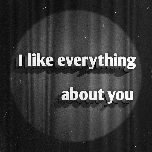Обкладинка: I Like Everything About You — Niktoris