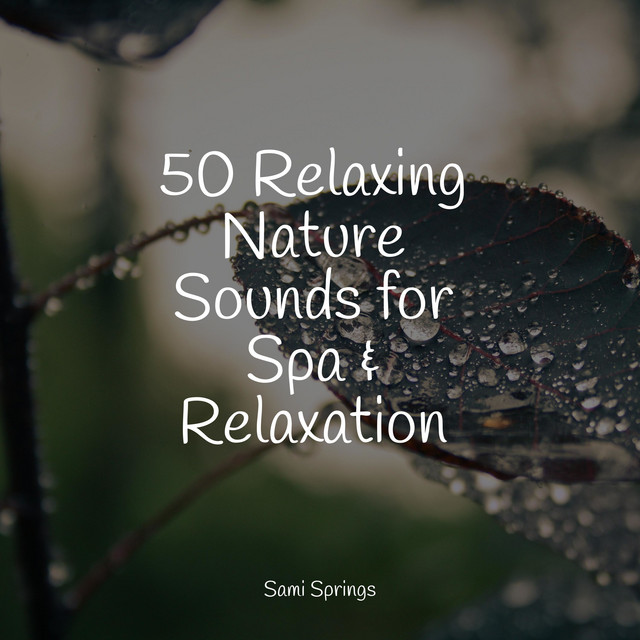 50 Relaxing Nature Sounds for Spa & Relaxation - Album by The Relaxing ...