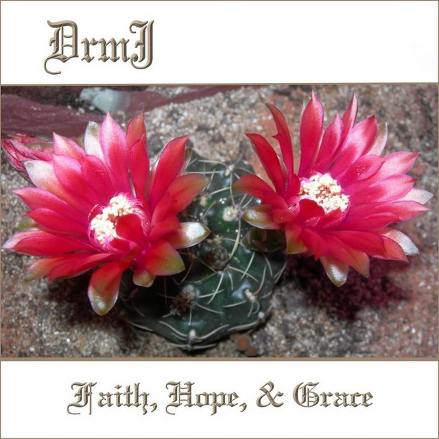 Faith, Hope, & Grace cover art