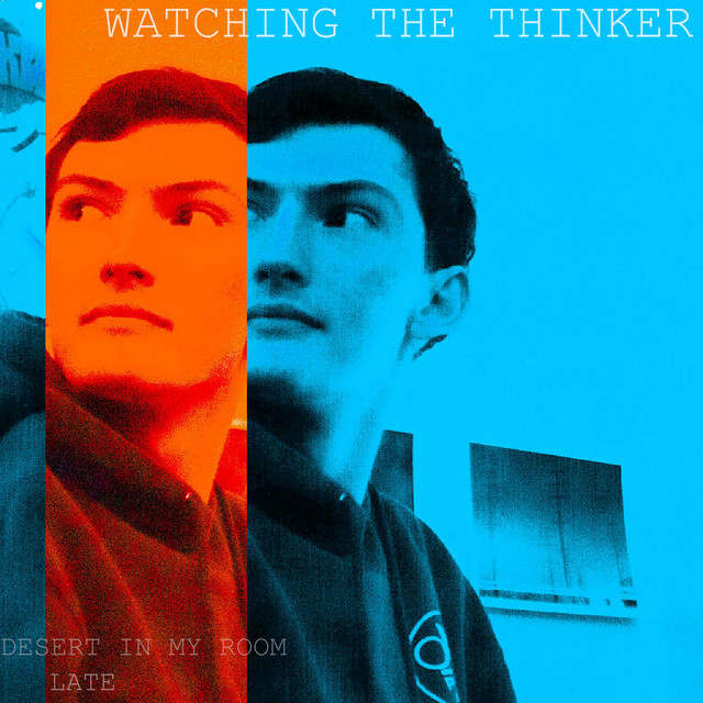 Watching the Thinker cover art