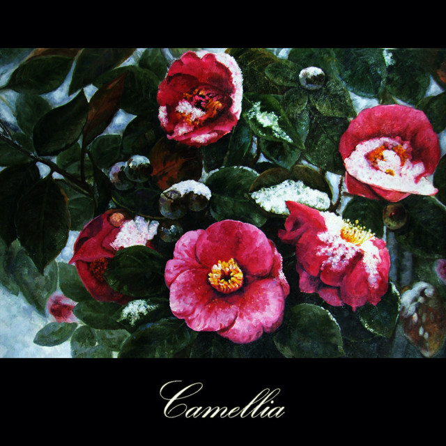 Camellia cover art