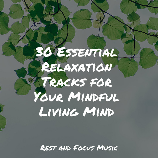 30 Essential Relaxation Tracks for Your Mindful Living Mind - Album by ...