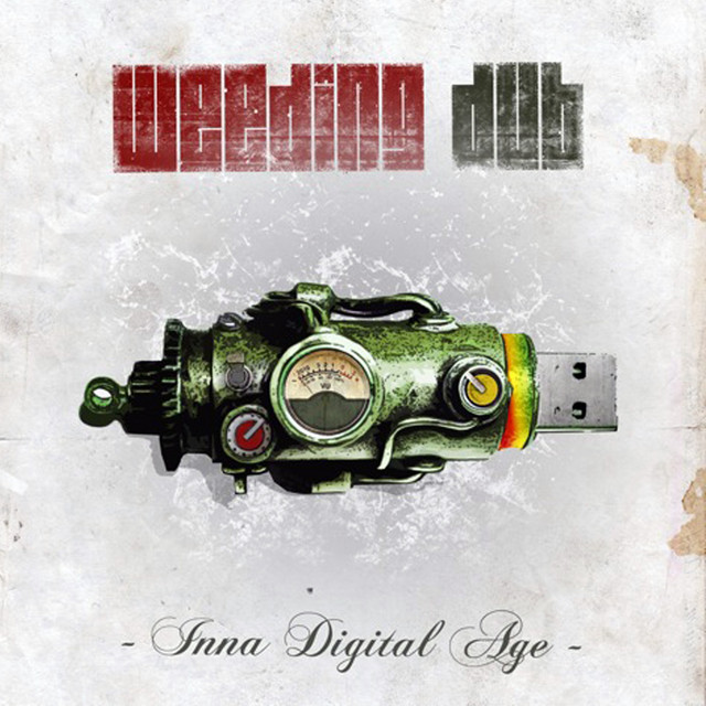 Inna Digital Age cover art
