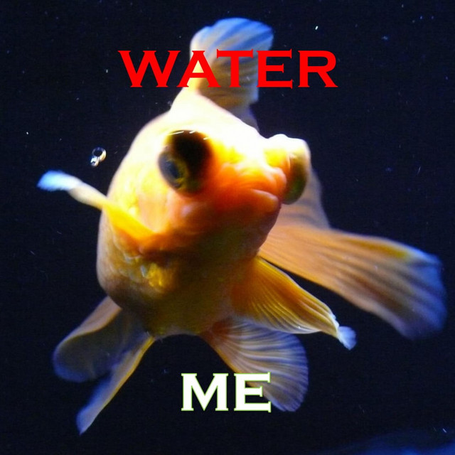 water cover art