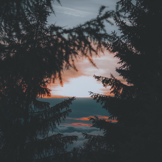 Lost cover art