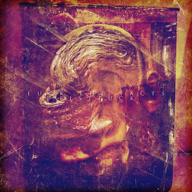 Fistfuck the Facts cover art