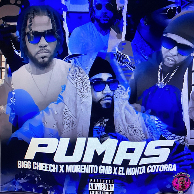 Pumas - Remix