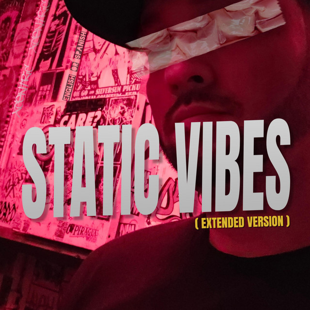 Static Vibes (Extended Version) cover art