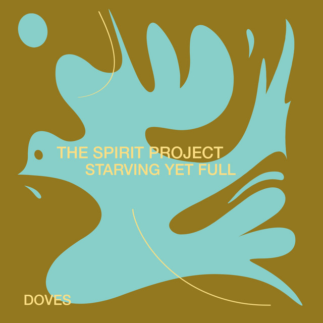 Doves - Extended Mix album art