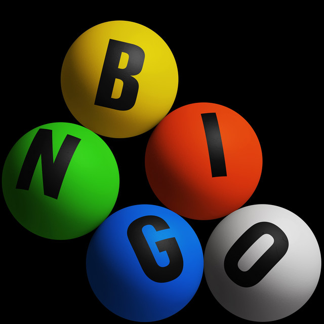Bingo cover art