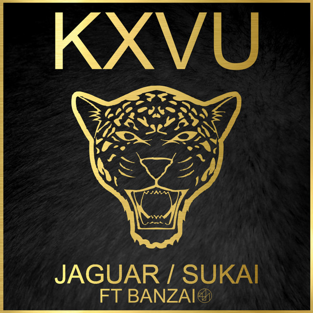 Jaguar feat. Banzai - Lorenzo BITW Remix album art