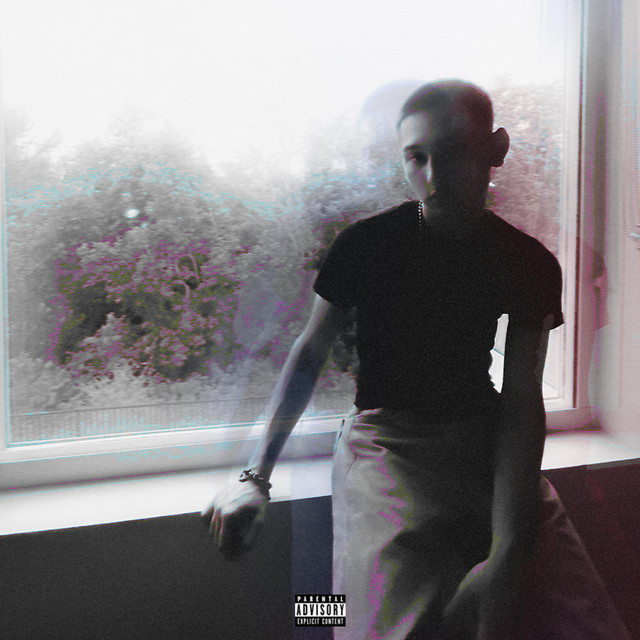 The Disguise cover art