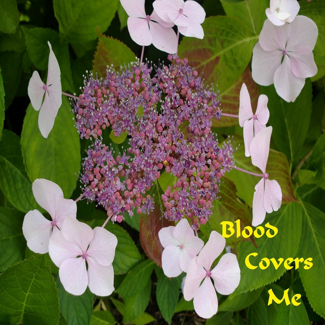 Blood Covers Me cover