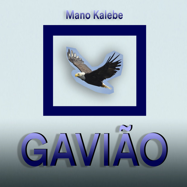 Gavião