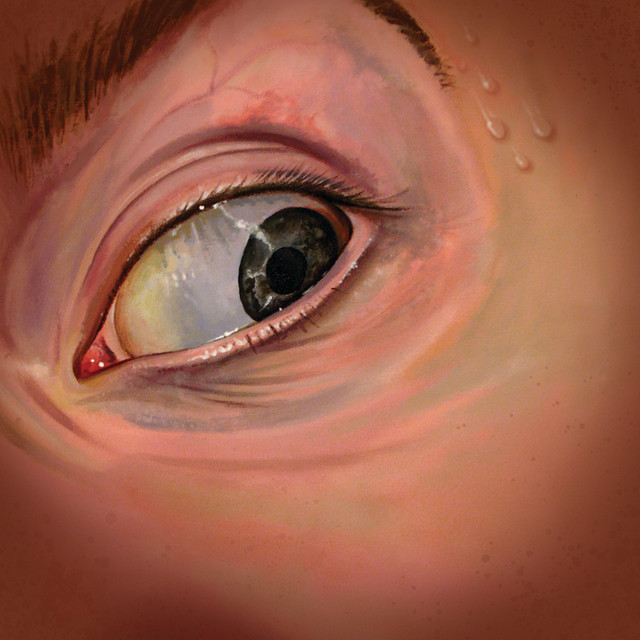 No Tears For The Creatures cover art