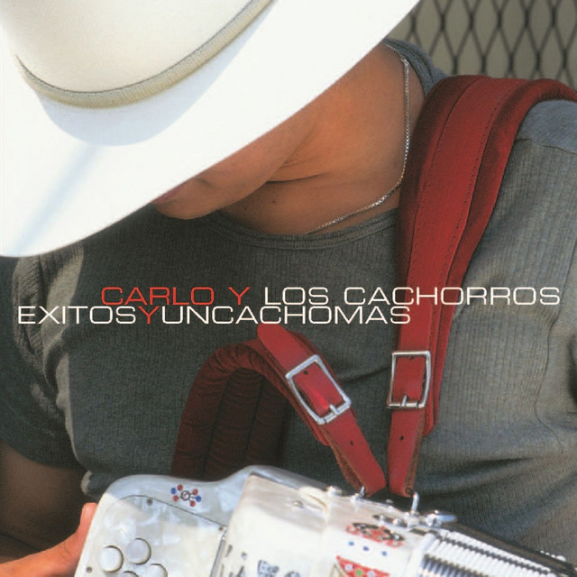 Exitos y un Cacho Mas cover art