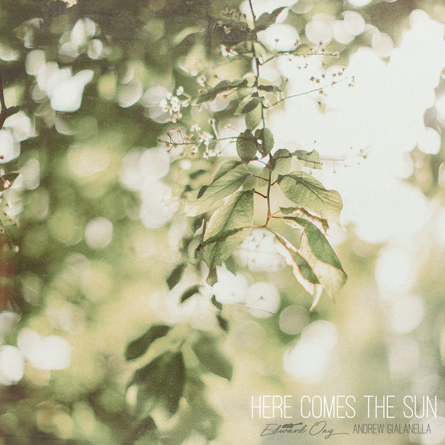 Here Comes The Sun - Acoustic Instrumental
