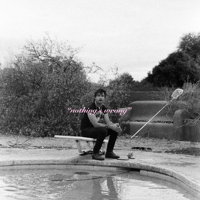 Nothing's Wrong cover art