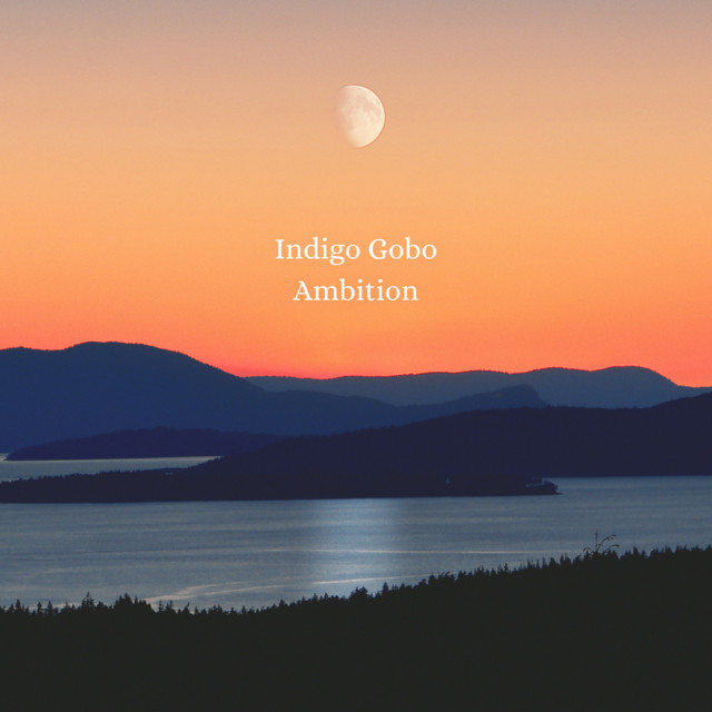 Indigo Gobo