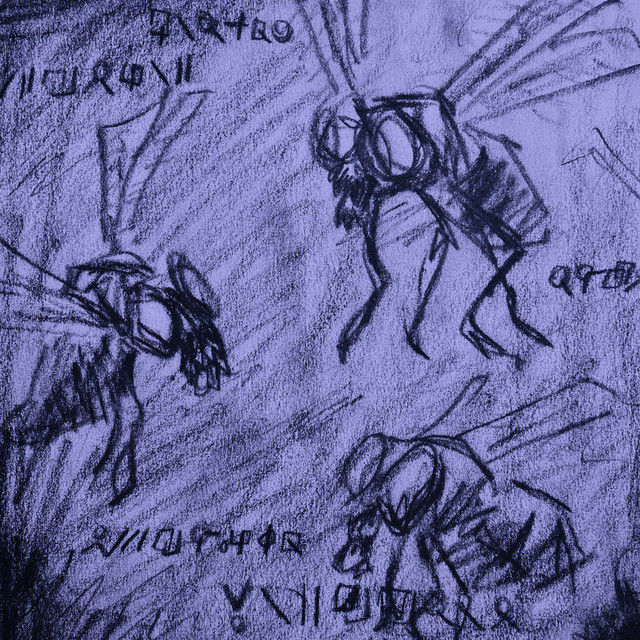 Buzzing of the Flies cover art