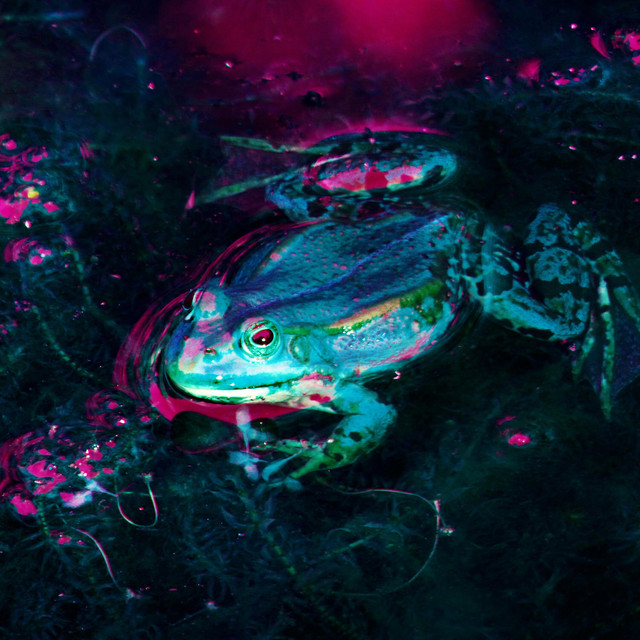 FlowingNight cover art