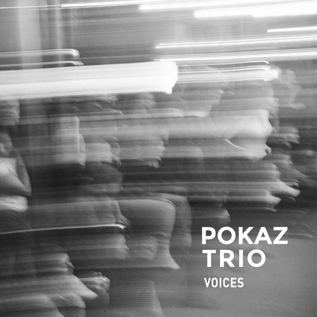 Обкладинка треку Voices