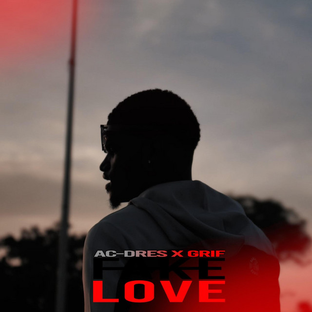 Fake Love