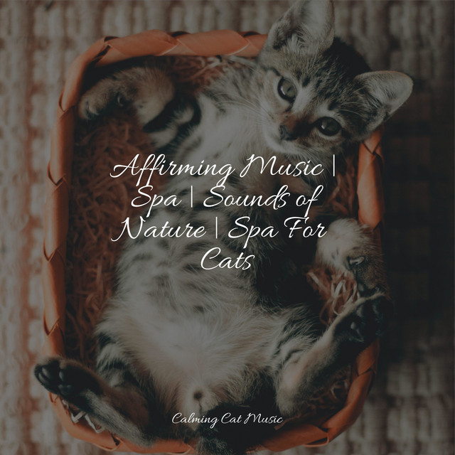Affirming Music | Spa | Sounds of Nature | Spa For Cats - Album by Jazz ...