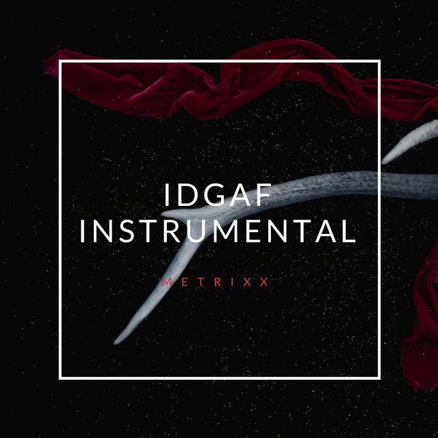 IDGAF (Instrumental) cover