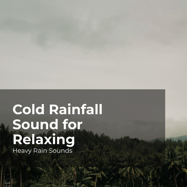 Cold Rainfall Sound for Relaxing - Album by Heavy Rain Sounds | Spotify