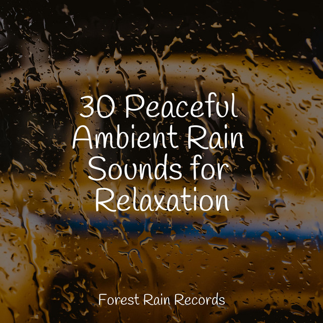 30 Peaceful Ambient Rain Sounds for Relaxation cover art