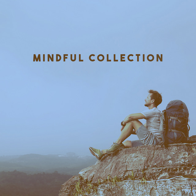 Mindful Collection cover art