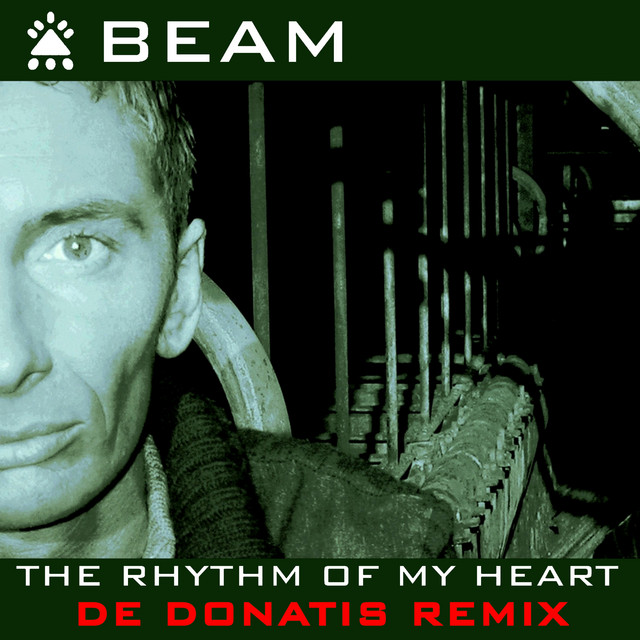 The Rhythm of My Heart (Remixes) cover