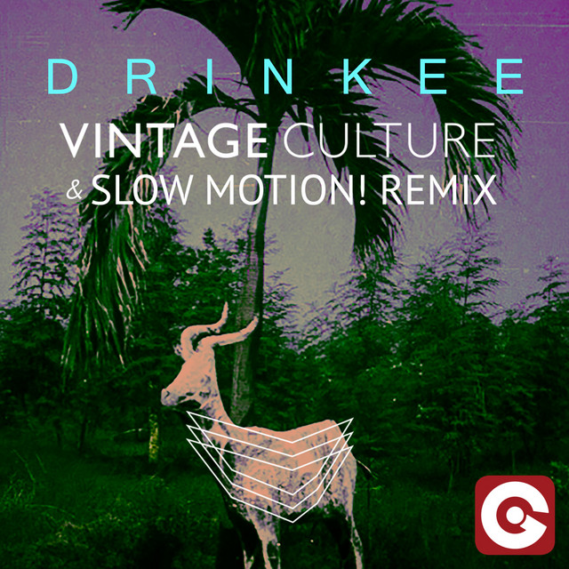 Drinkee - Vintage Culture & Slow Motion! Remix