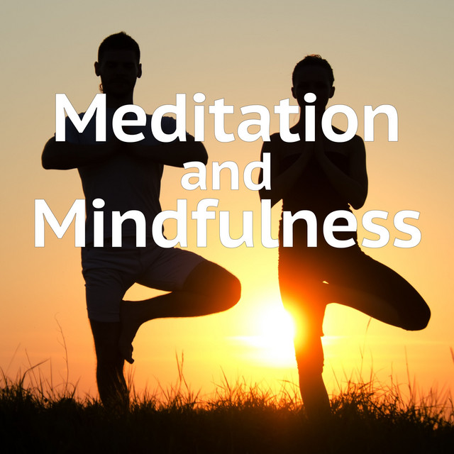 Meditation and Mindfulness cover art