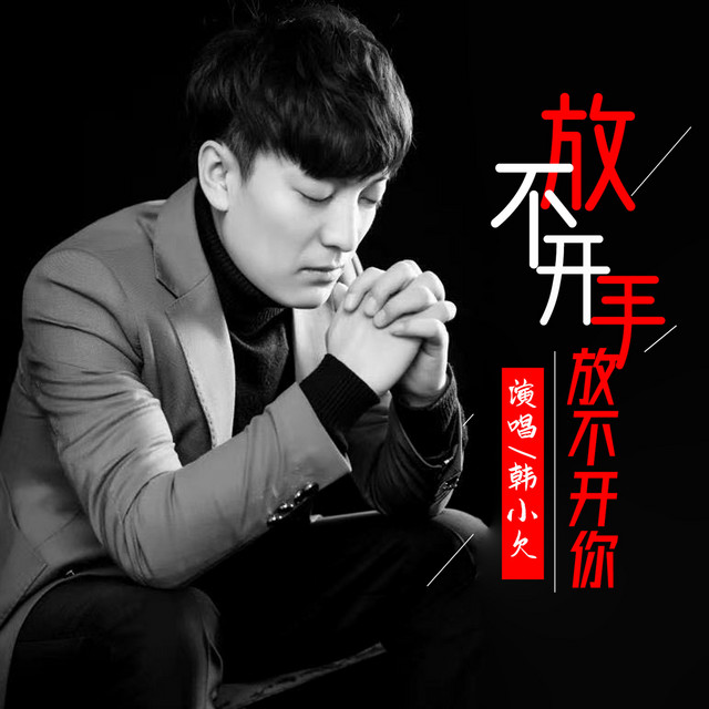 放不开手放不开你 - DJ沈念版