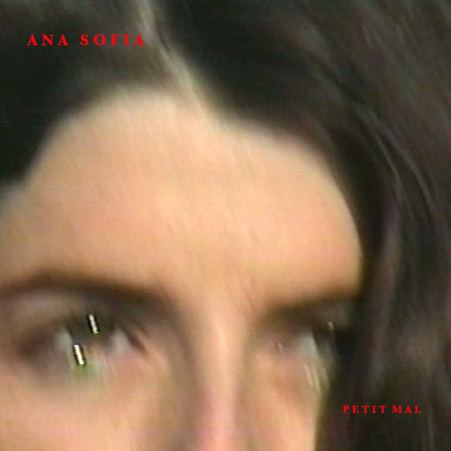 Petit Mal cover art