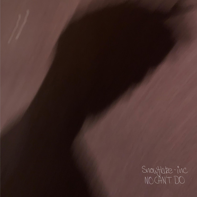 No Can't Do cover