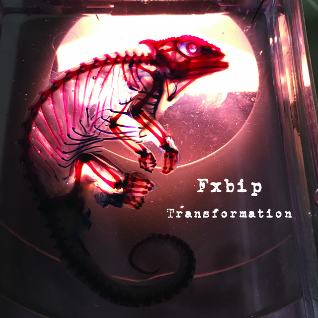 Fxbip