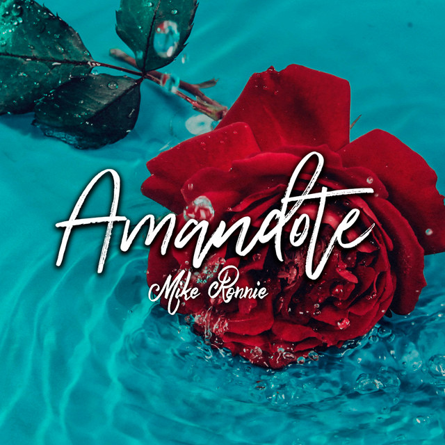 Amandote cover art