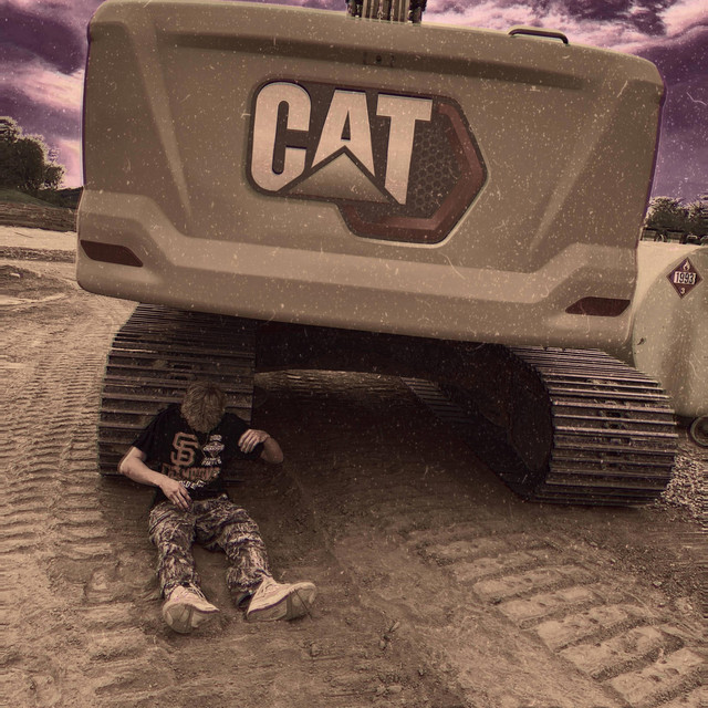 CAT cover art
