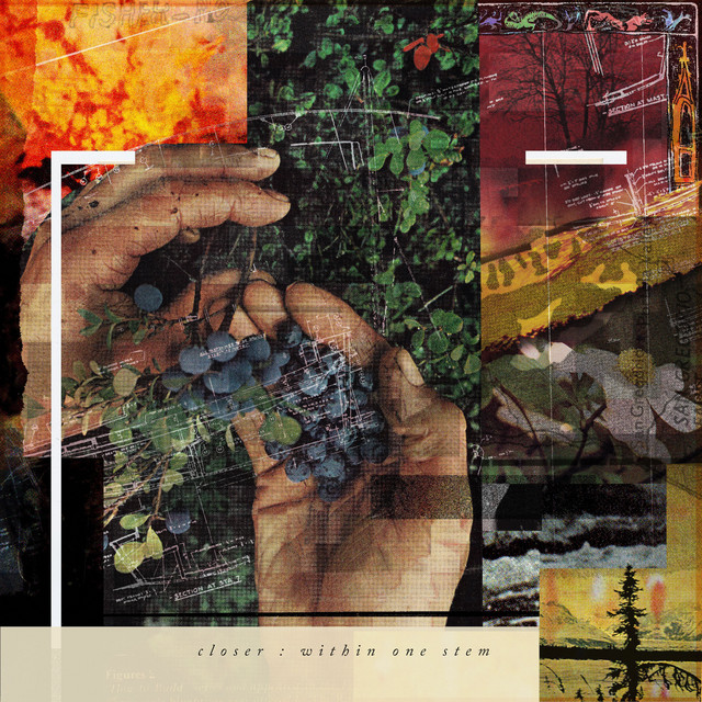 Within One Stem cover art