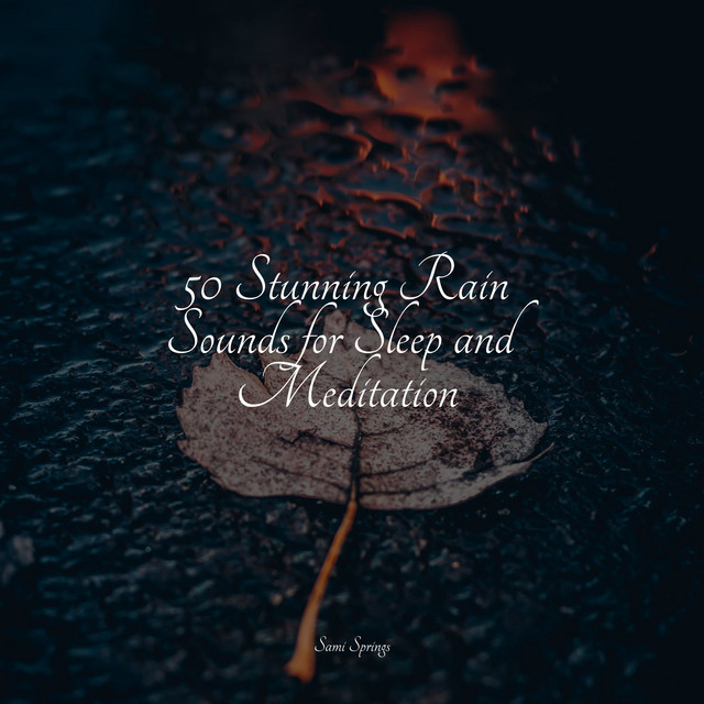 50 Stunning Rain Sounds for Sleep and Meditation - Album by Bird Sounds ...