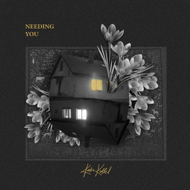 Needing You cover