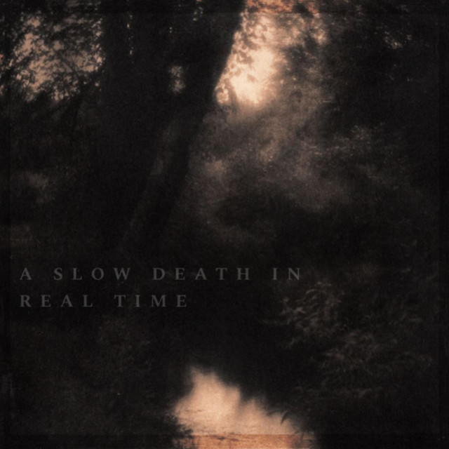 A Slow Death In Real Time cover art
