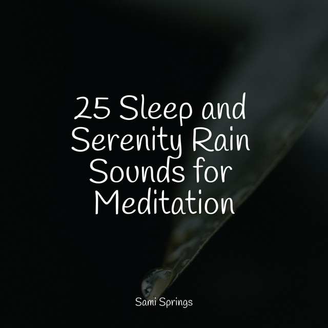 25 Sleep and Serenity Rain Sounds for Meditation - Album by Nature ...