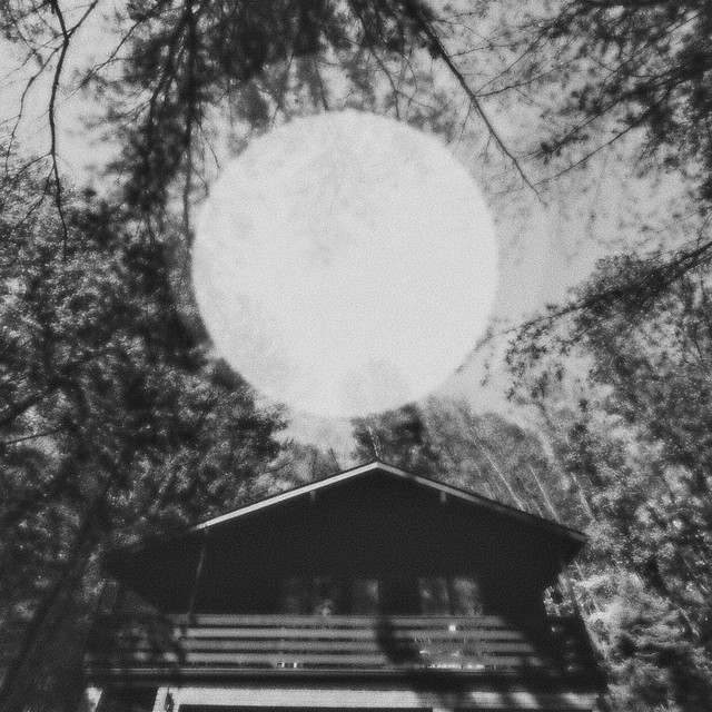Quieter Tone (single)