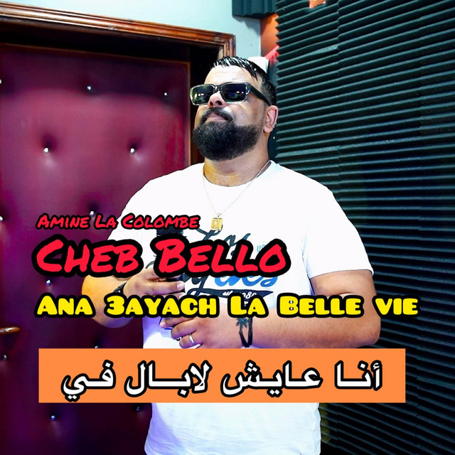 Cover du titre Ana 3ayach La Belle Vie